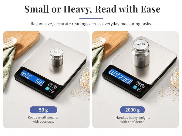 10000g 10kg 22lb scale