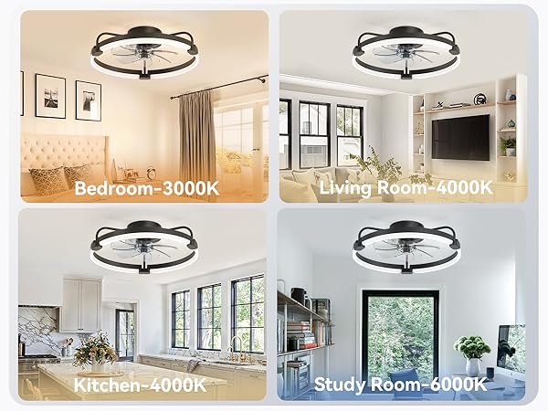 black ceiling fan