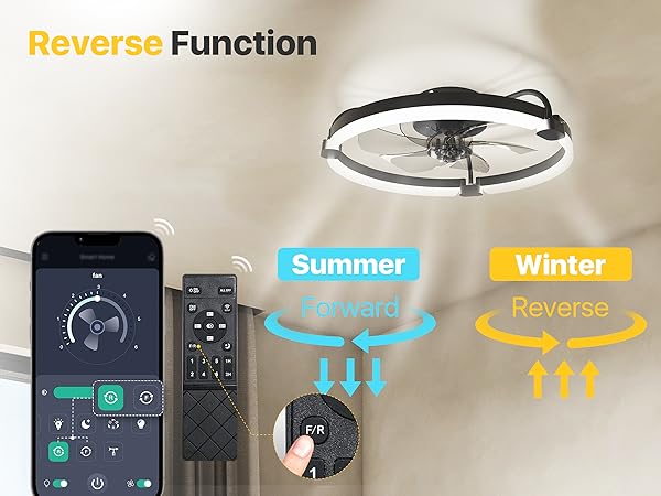 small ceiling fan with light