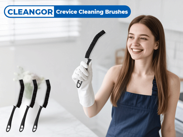 Cleangor Cleaning Brushes