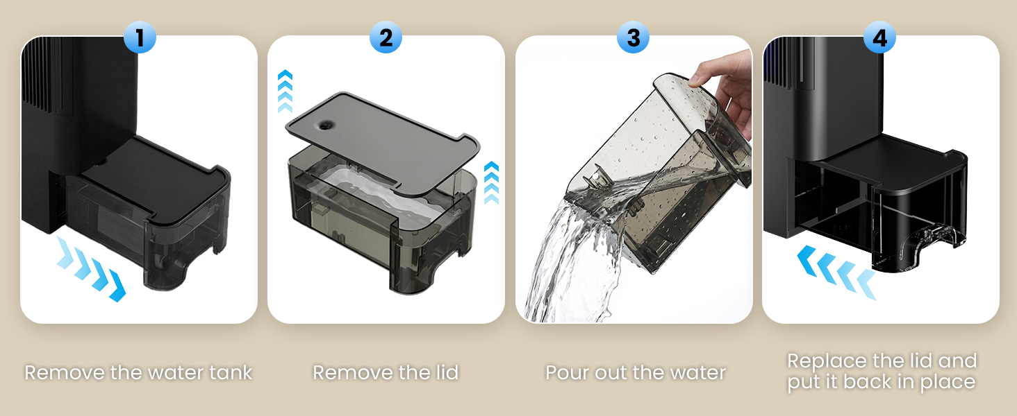 Dehumidifier with removable water tank