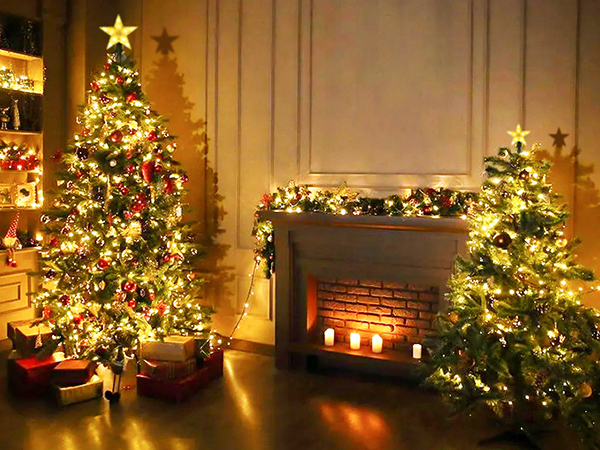 xmas lights indoor