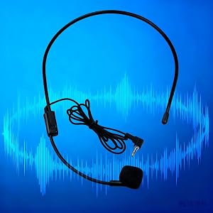 Noise-Canceling Microphone