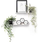 xympo 16" Metal Picture Ledge, Wall Mounted Floating Shelf - White (Set of 2)