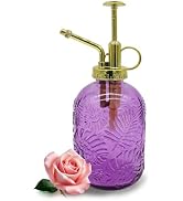 VKSG Glass Plant Mister Spray Bottle, 350ML Vintage Plant Spritzer, Succulent Watering Bottle Gla...