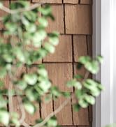 Keyless Entry Door Lock Deadbolt with Handle Set, Door Locks for Front Door, Keypad Door Lock wit...