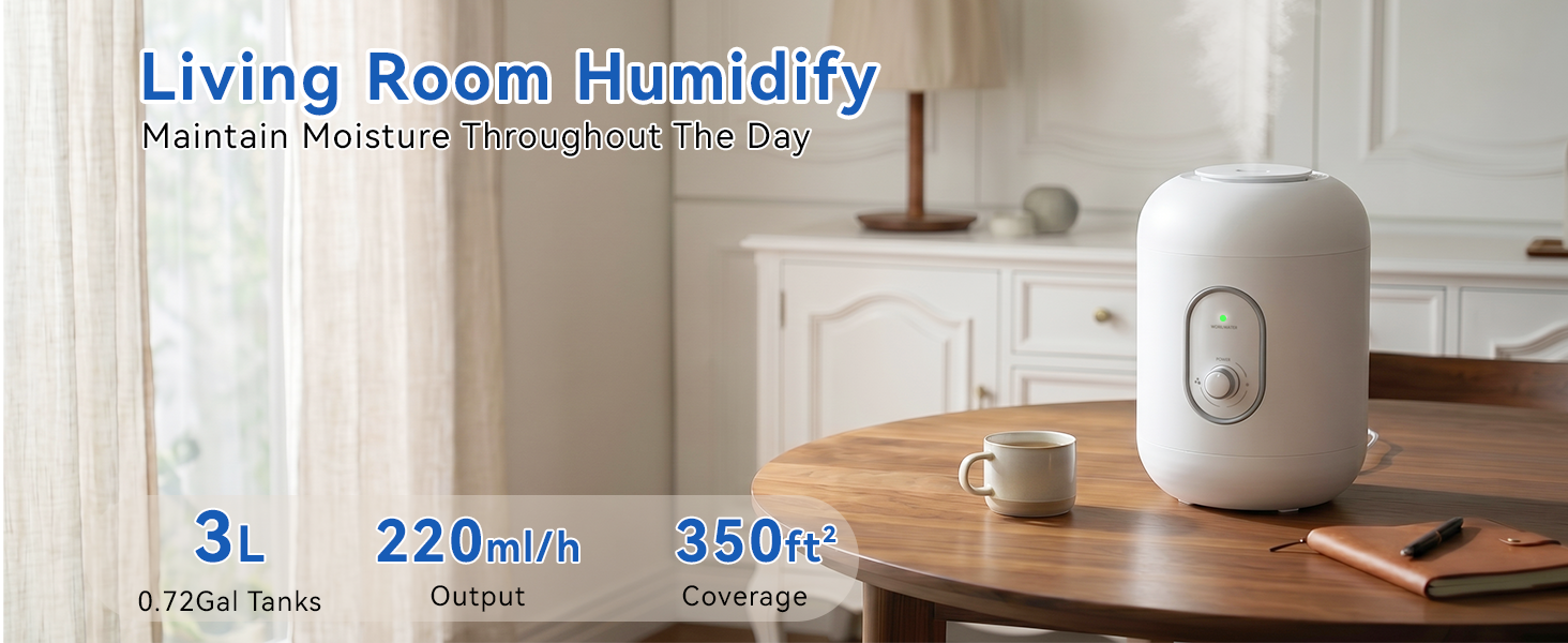 Living Room Humidifier
