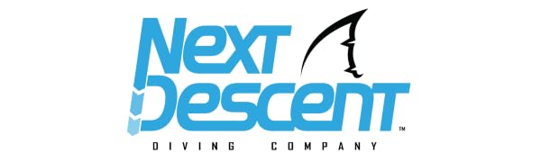 Next Descent