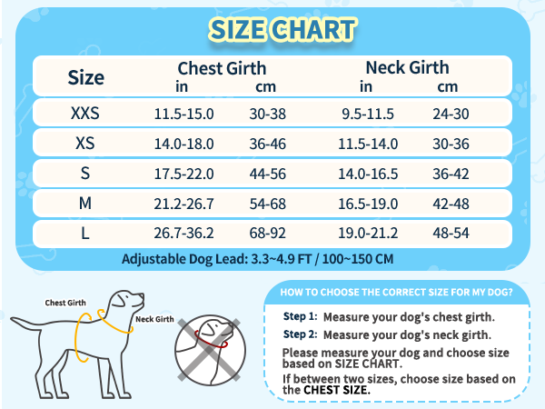 small dog harness leash set for small dogs