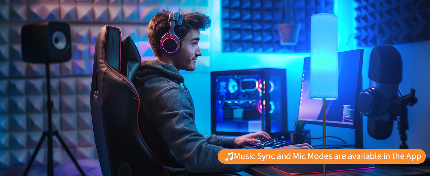 Frideko Floor Lamp with Sync Music Mode