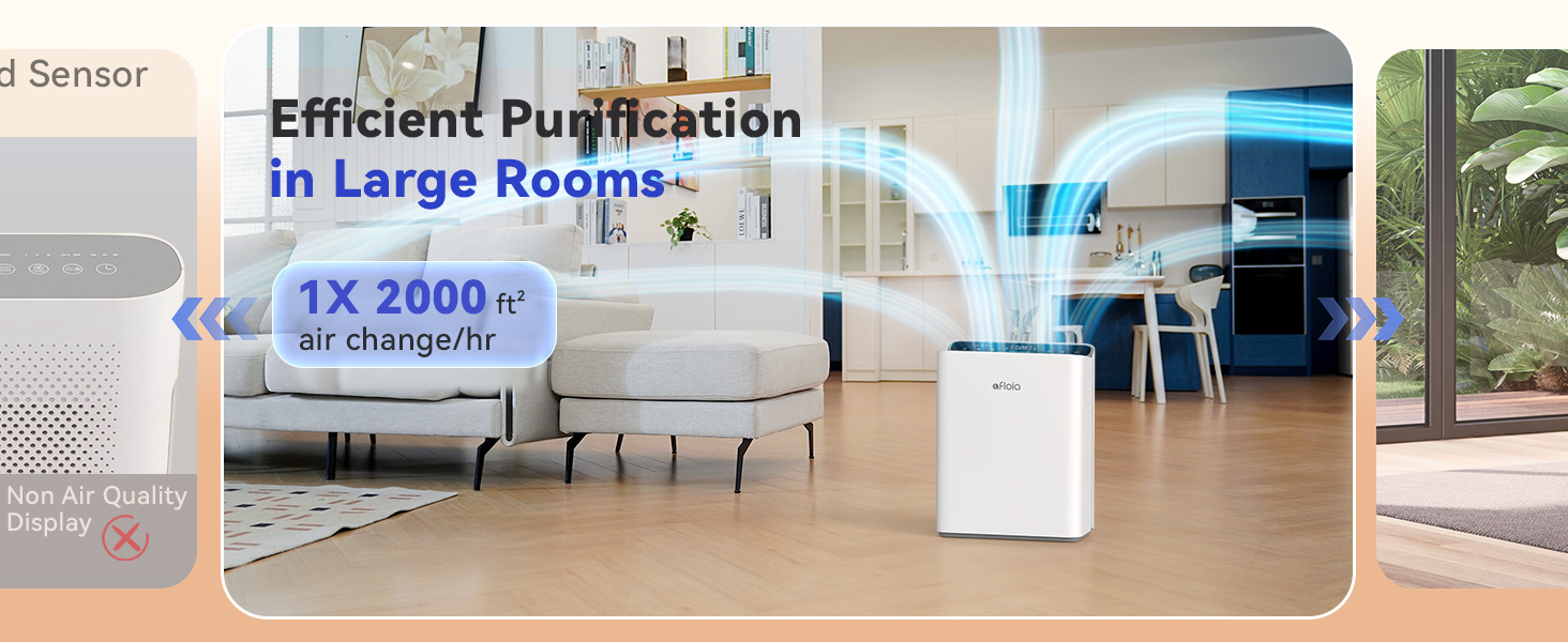 air purifiers for home large room