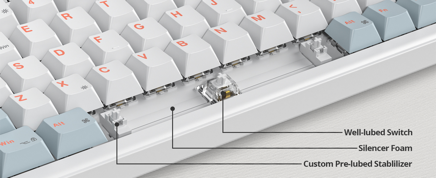 Lubed switch