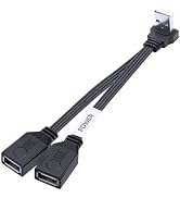 LANMINGLEL Short 90 Degree PD 65W USB 2.0 Fast Charge Cord Flat USB 2.0 Male to 2 Female Cable Do...