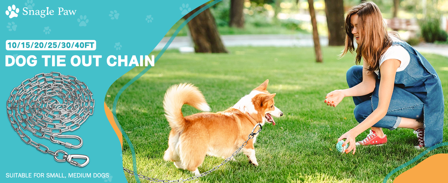 dog chain for yard