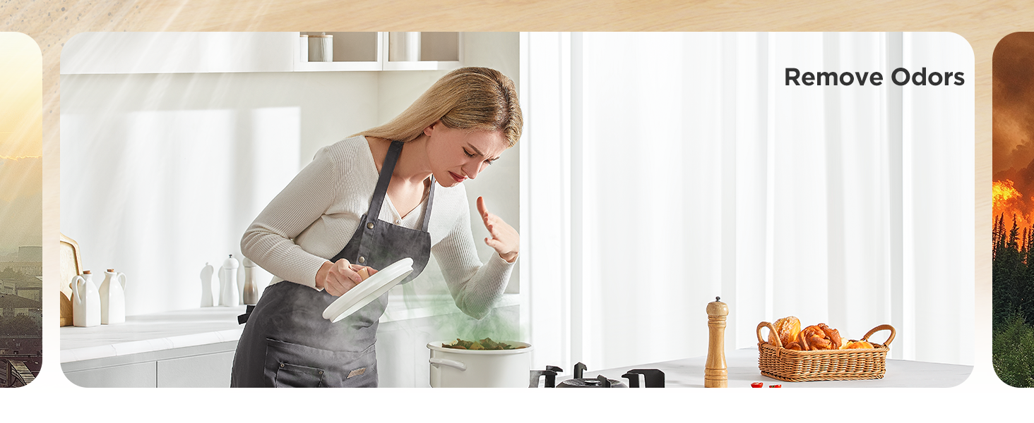 Remove Odors