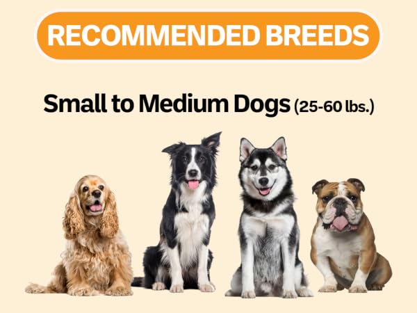 Recommended breeds for 3 cup slow feed bowl
