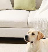Orthopedic dog crate bed