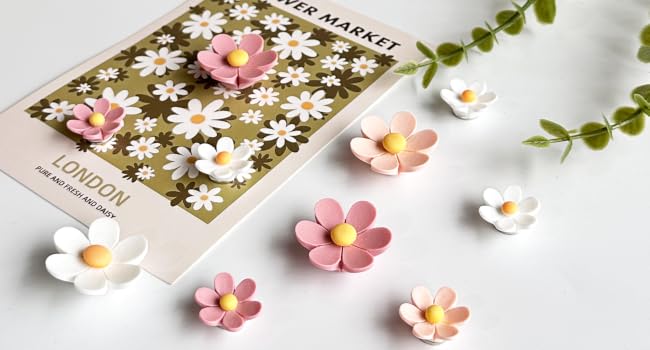 Decorative Magnets