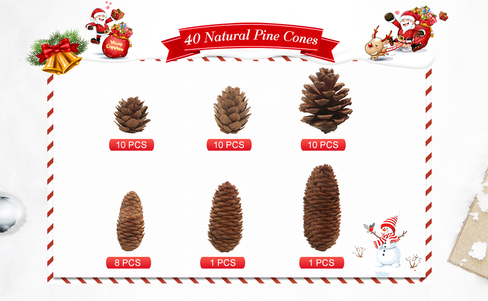Pine Cones