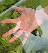 Clear Tarps Heavy Duty Waterproof, Transparent PVC Vinyl Tarpaulin with Grommets, Ropes, Reinforc...