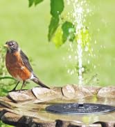 Honche Solar Water Fountain for Bird Bath
