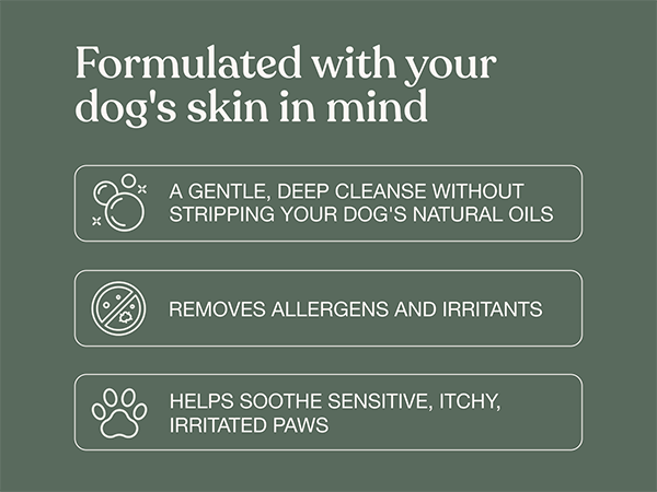 Dandylion: formulated with your dog's skin in mind
