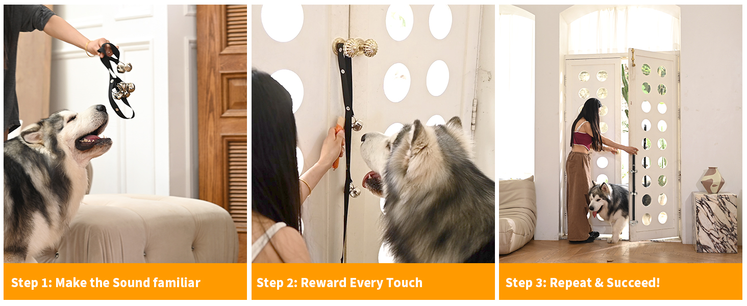 the way and steps to teach dog to use the dog door bell