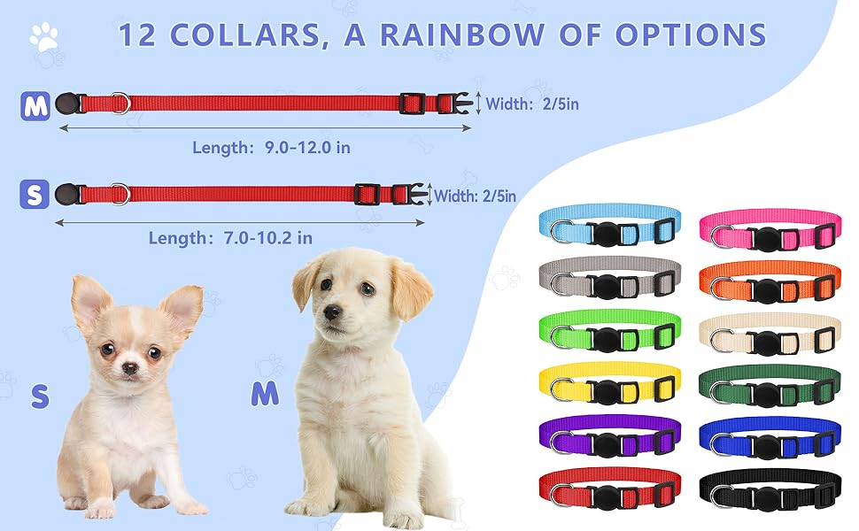 puppy collars