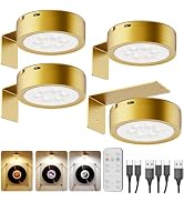 USB Rechargeable Light Over Picture Frame, Gold 2600mAh Battery Operated Art Lights for Paintings...