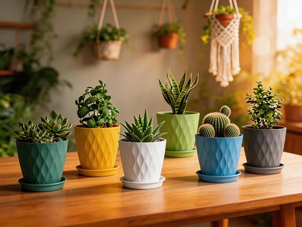 4 inch plant pot