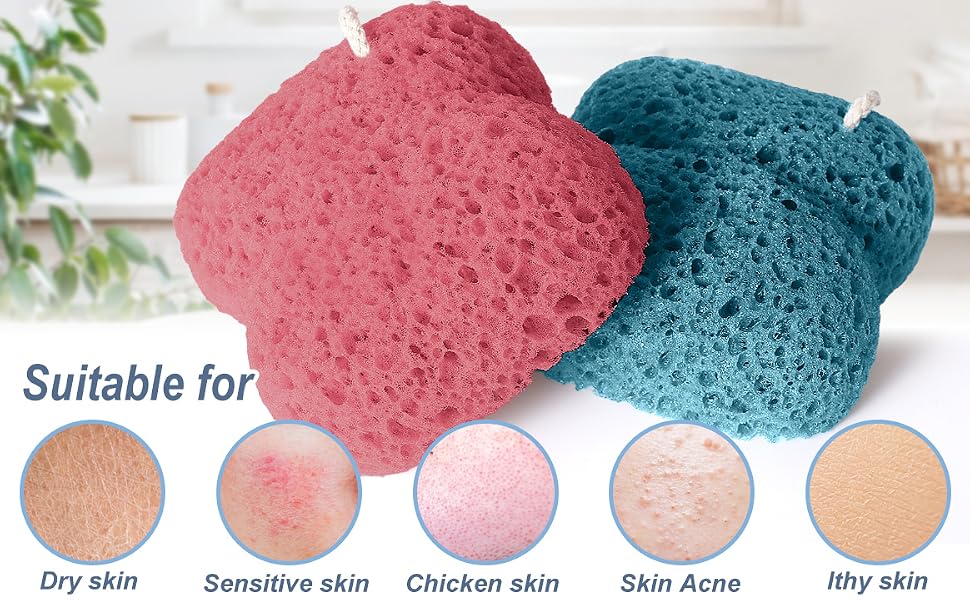 body sponge