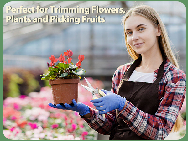 pruners for gardening