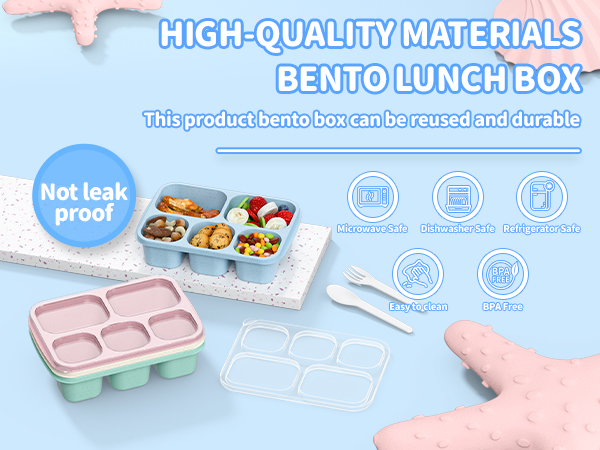 Bento Lunch Box