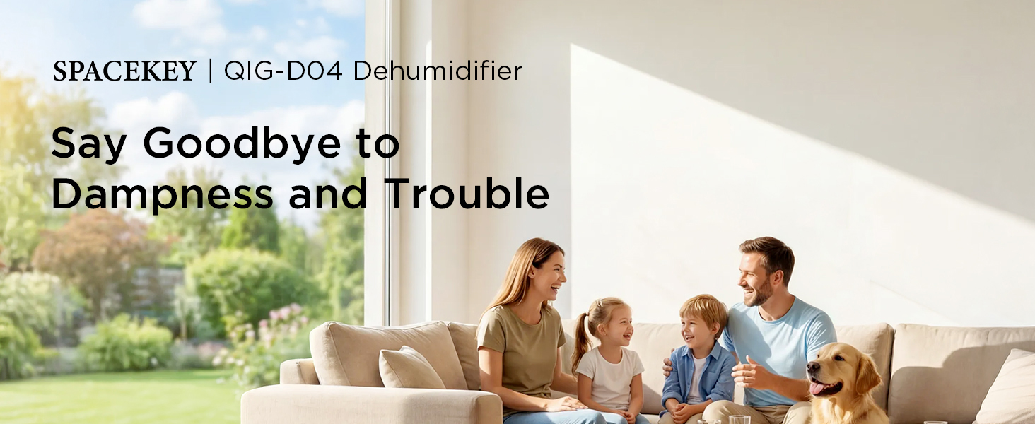 high efficiency dehumidifier for large rooms 1000sq.ft