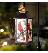 Homemory Hanging Solar Lanterns Outdoor Waterproof, Solar Cardinal Lights with LED Flickering Fla...