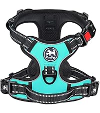 https://m.media-amazon.com/images/I/51sD1U6n9FL.__AC_SR200,225___.jpg