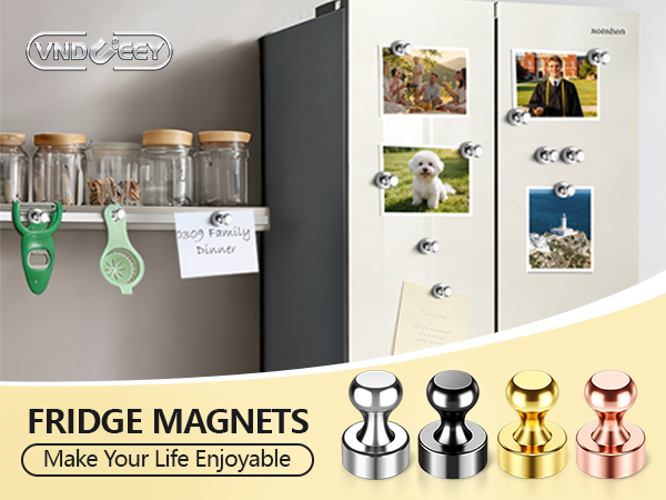 fridge magnets