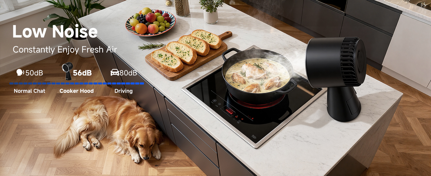 Portable Range Hood
