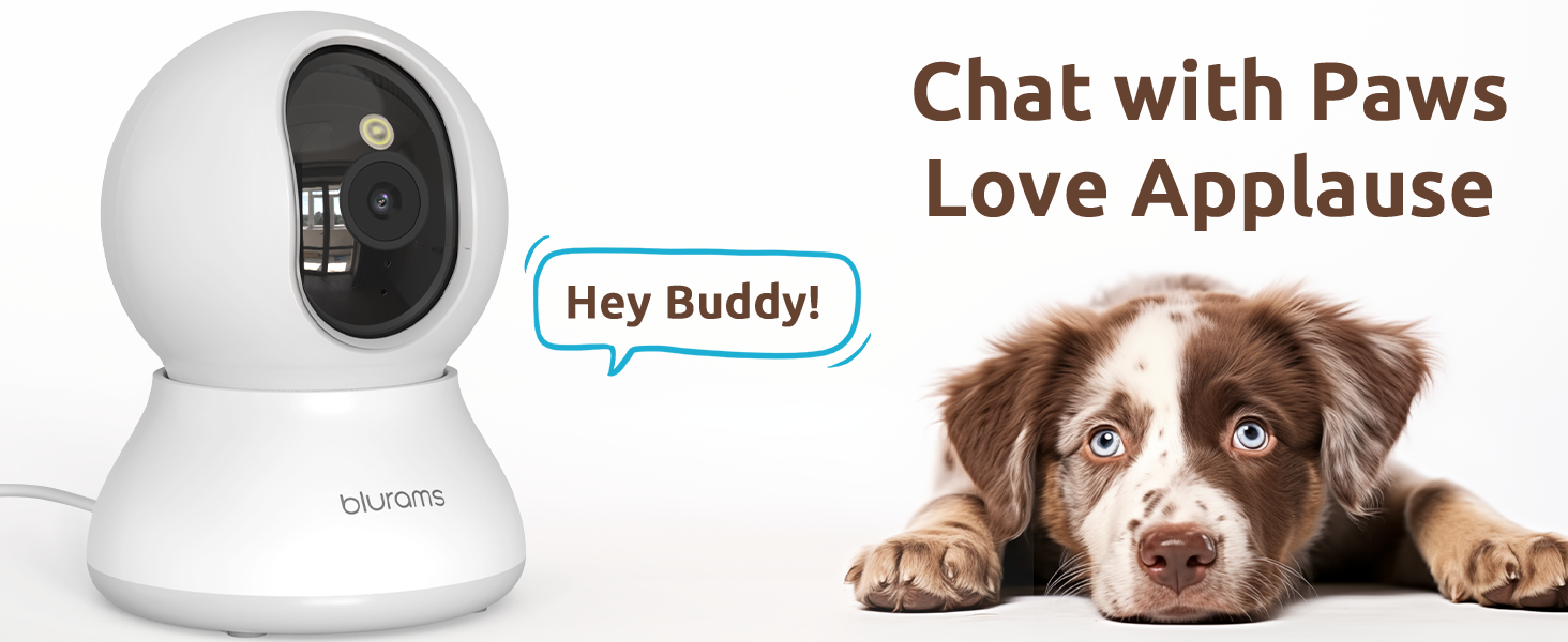 blurams pet camera