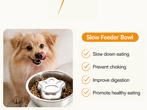 Stainless Steel Slow Feeder Dog Bowls
