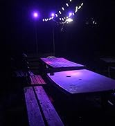 T-SUN Color Changing Solar Spotlights, LED Solar Powered Landscape Lights Outdoor Waterproof Sola...