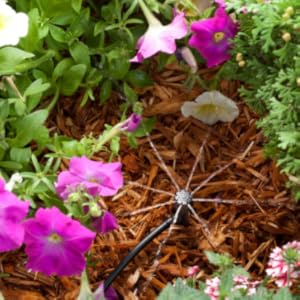 drip irrigation filter and pressure regulator rainbird sprinkler filters amiad irrigation filter