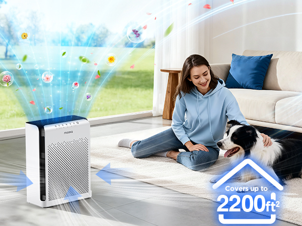 Home large rooms air purifier covers 2200ft², perfect for whole house pets hair Odor Pollen Smoke