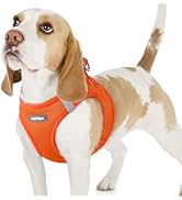 rabbitgoo Small Dog Harness, Step-in Soft Mesh Puppy Vest, Easy Walk with Safety Buckle, Breathab...