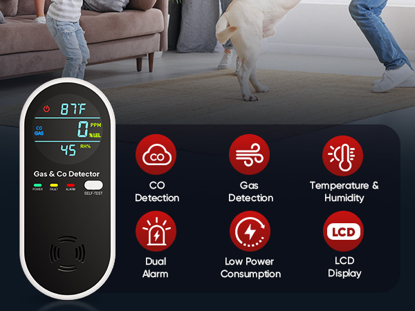 carbon monoxide detectors