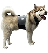 CoolerDog Dog Cooling Vest and Cooling Collar - Ice Vest for Dogs Large (27" to 34" Girth)
