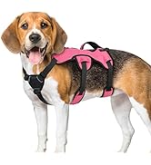rabbitgoo Escape Proof Dog Harness, Soft Padded Full Body Pet Harness, Reflective Adjustable No P...