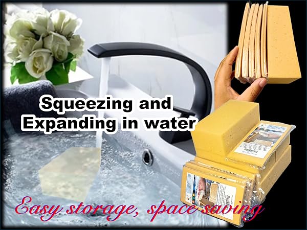 car sponges for washing