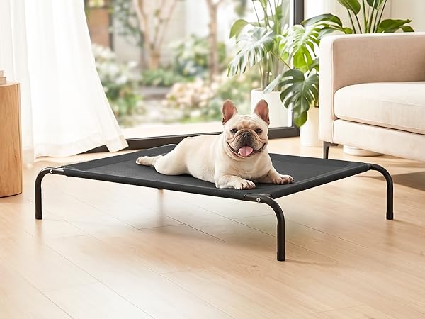 cooling dog bed