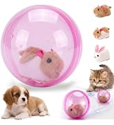 Cat Toy Automatic Moving Ball - Interactive Cat Toys for Indoor Cats, Self-Rolling Automatic Cat ...